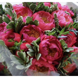 Кораллы сегодня!